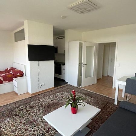 1,5 Zimmerwohnung In Heidelberg Dış mekan fotoğraf