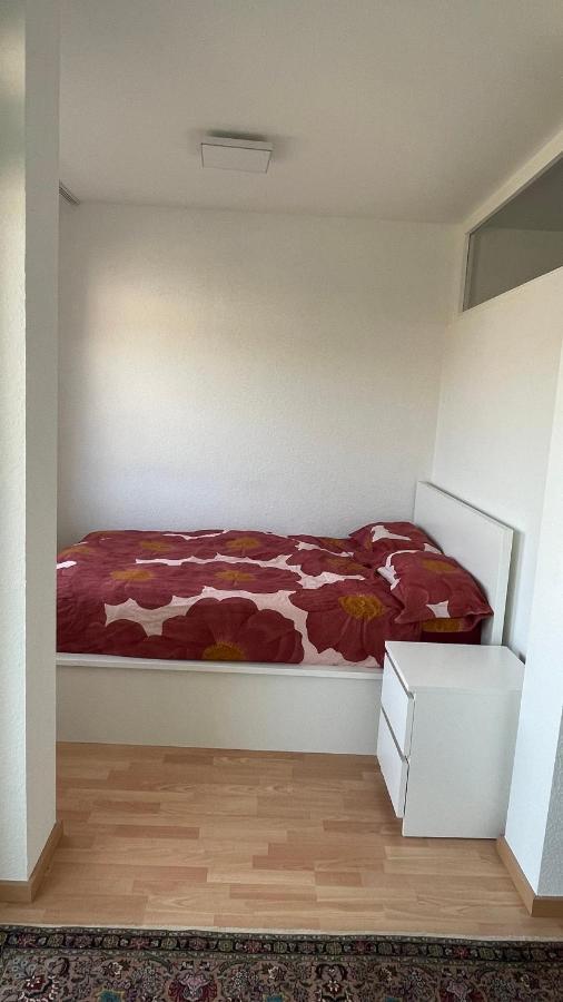 1,5 Zimmerwohnung In Heidelberg Dış mekan fotoğraf